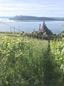 Regionale Weine in Erlach