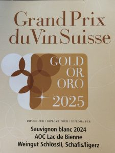 Gut gepunktet 2025